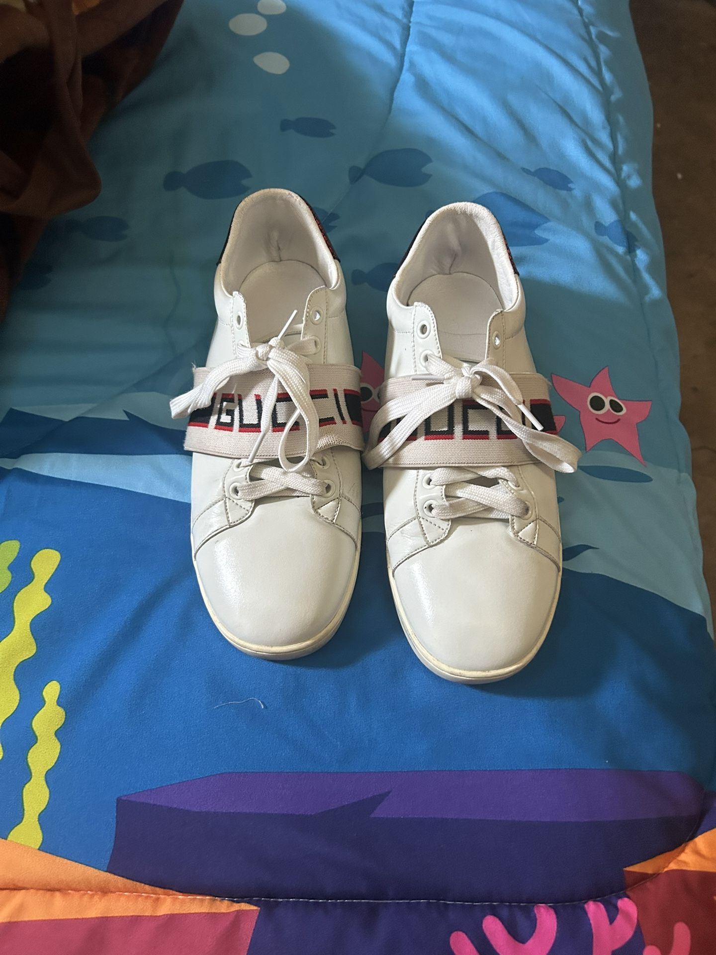 Gucci Sneakers