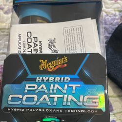 Hybrid Paint Coating 