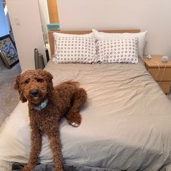 IKEA Malm Full Bed-frame with storage drawers and matching nightstand