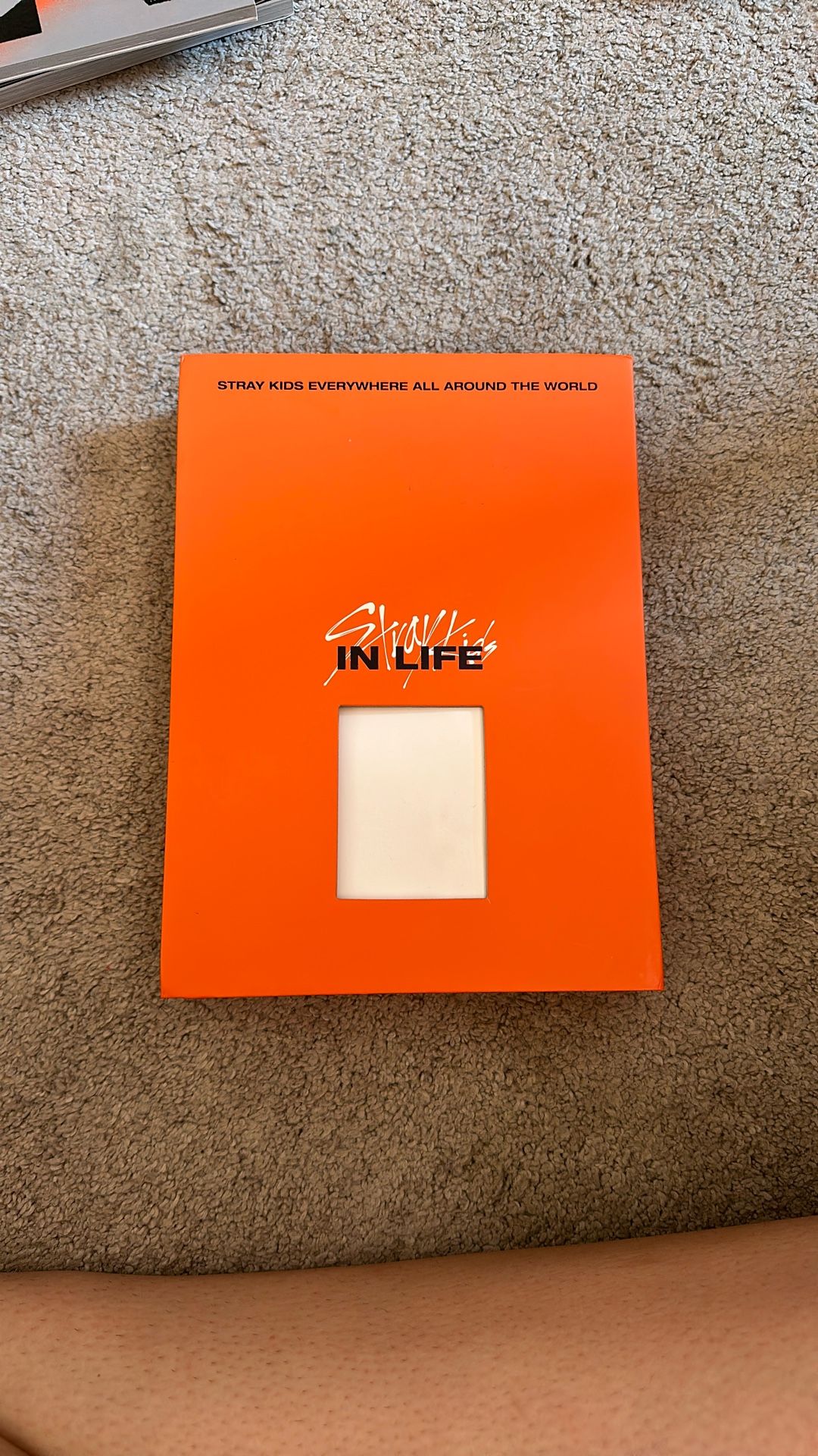 in life SKZ album