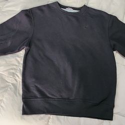 Champion Men's Crewneck Sweater 