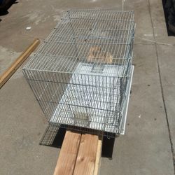 big white cage 