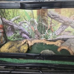 Reptile Tank