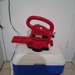 Electric Leaf 🍃 Blower 220 MPH / 12 AMP Powerful  And Exelent Condition, Very Light  WIGHT  And Strong