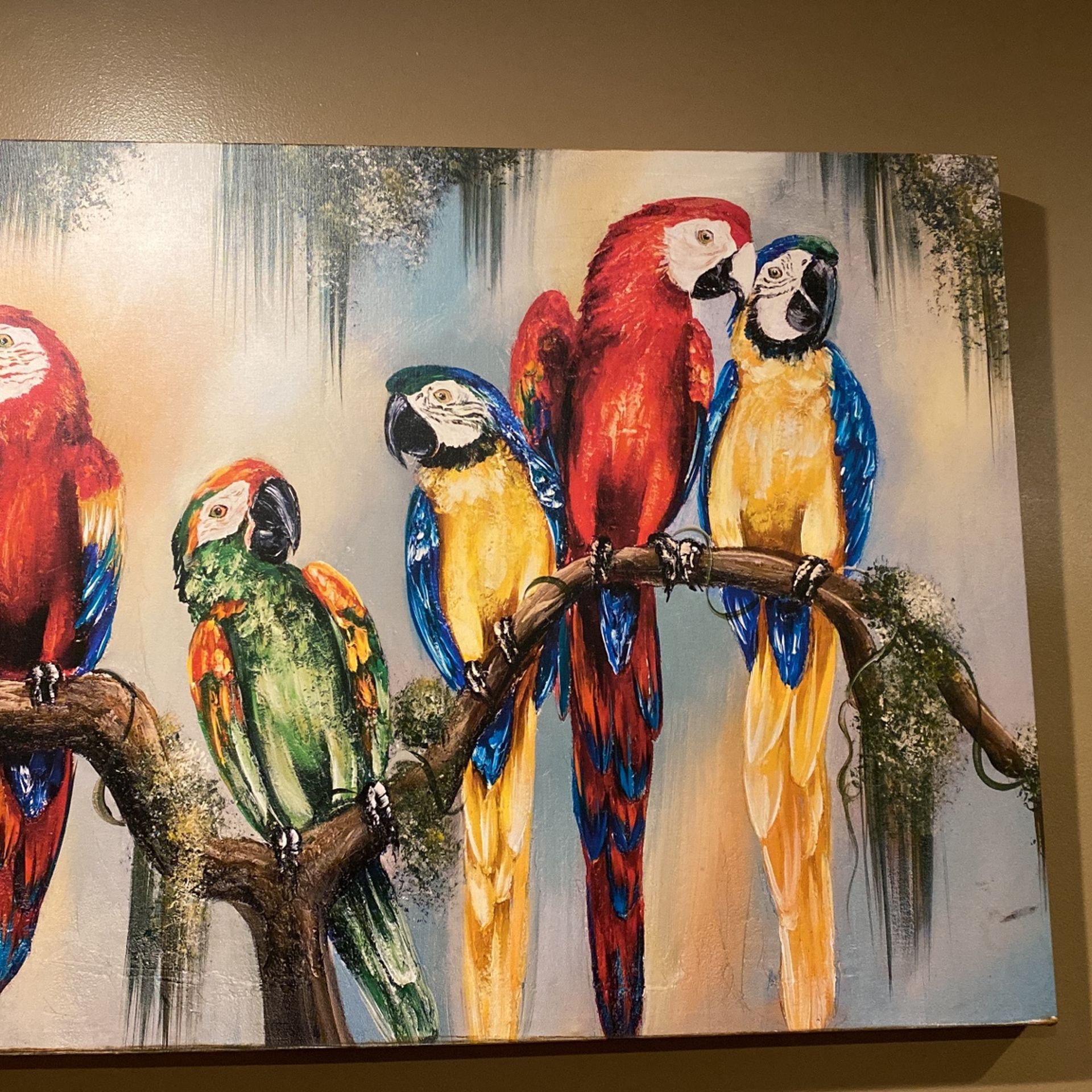 Parrot Picture Paint
