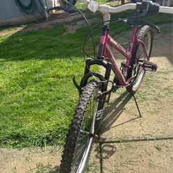 24” Bicycle