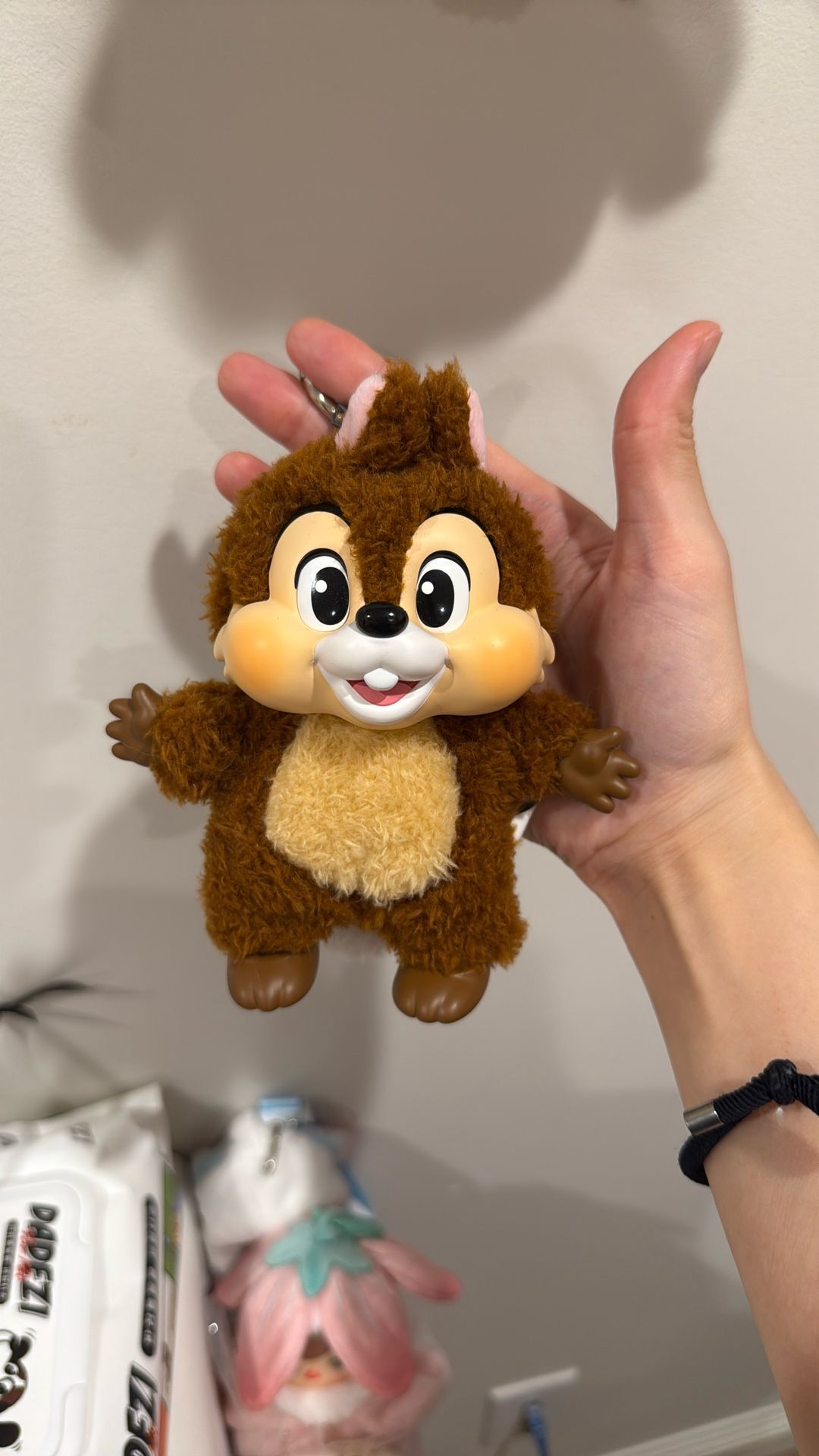 MICKEY FAMILY: Chip for Donald