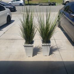 Deco artificial Plants 