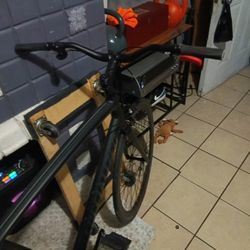 2024 Specialized Tarmac SL7 Sport 105