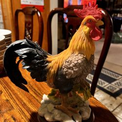 Rooster 