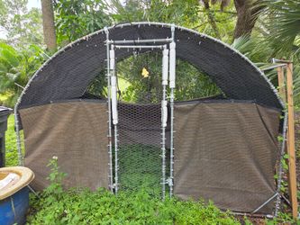 Chicken Coop- chicken wire & tarped