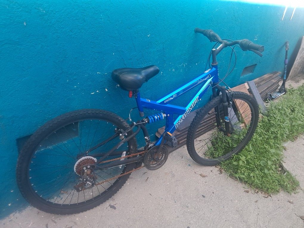 Blue Mountain Bike