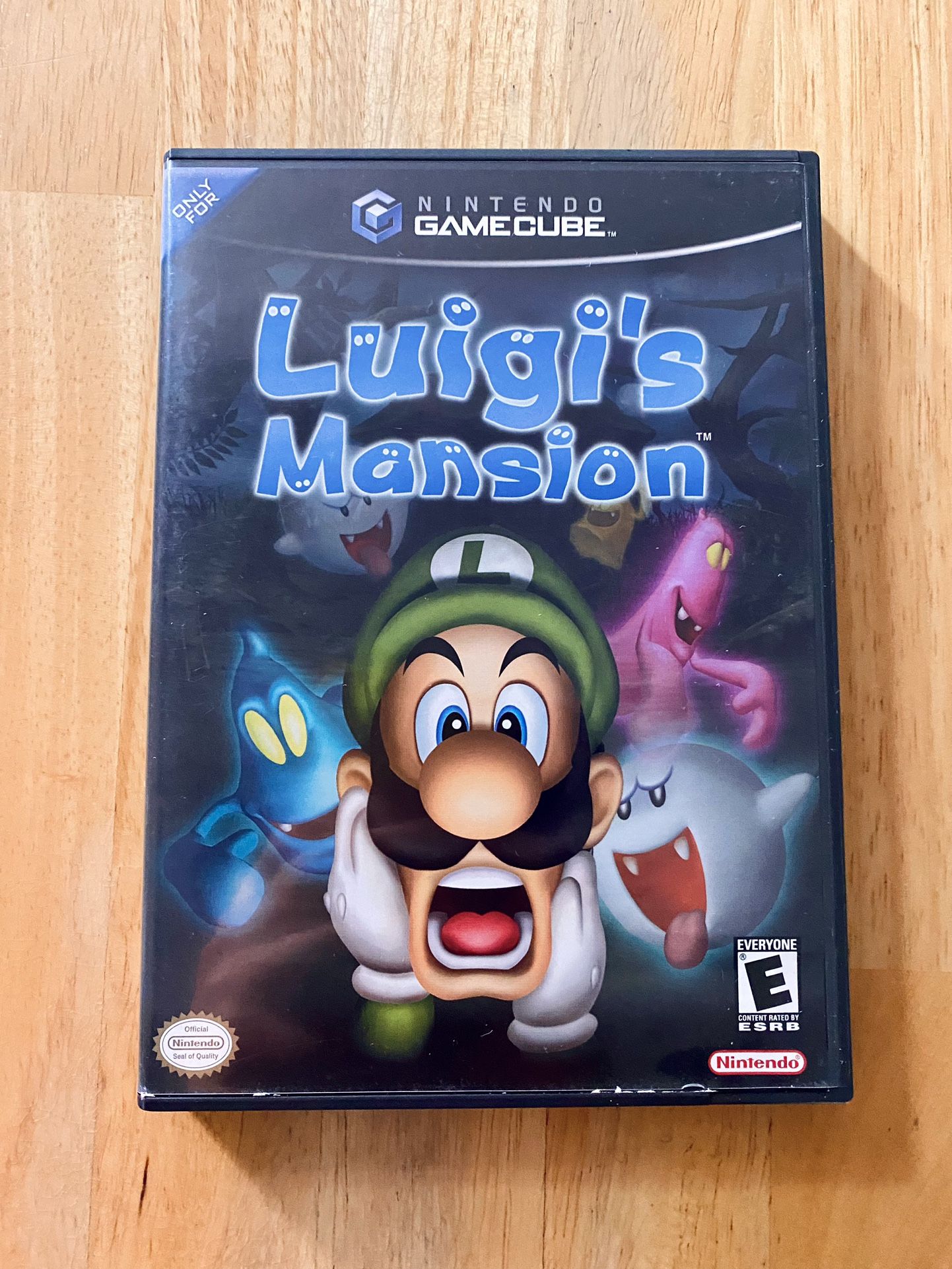 Luigi’s Mansion (opened)