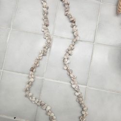 Seashell Necklace