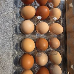 Eggs