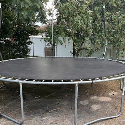 Trampoline 
