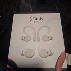 Earphones 