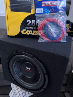 Pyle PLPW10D Power 10"  DVC Subwoofer deal.