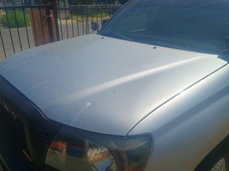 Tacoma hood