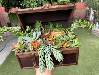Gorgeous flowers in a chest box