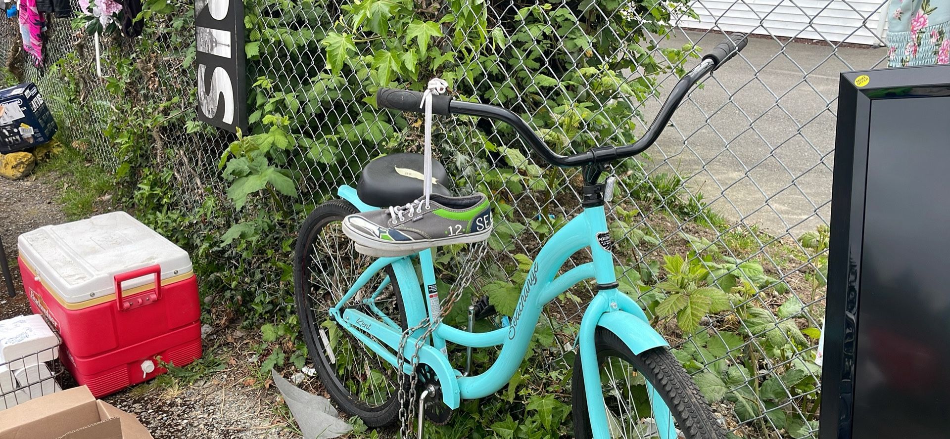 Beach Cruiser