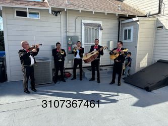 Violín arpa de mariachi