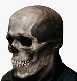 Realistic skeleton costume mask scary Halloween mask for cosplay and parties