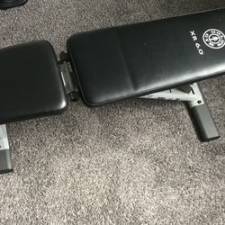 Gold's gym xr 6.0 new arrivals