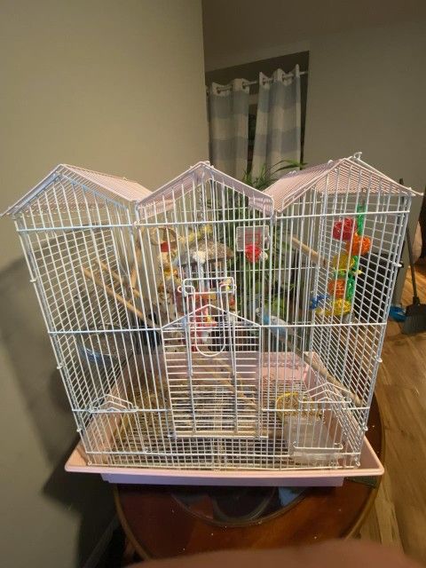 Bird Cage