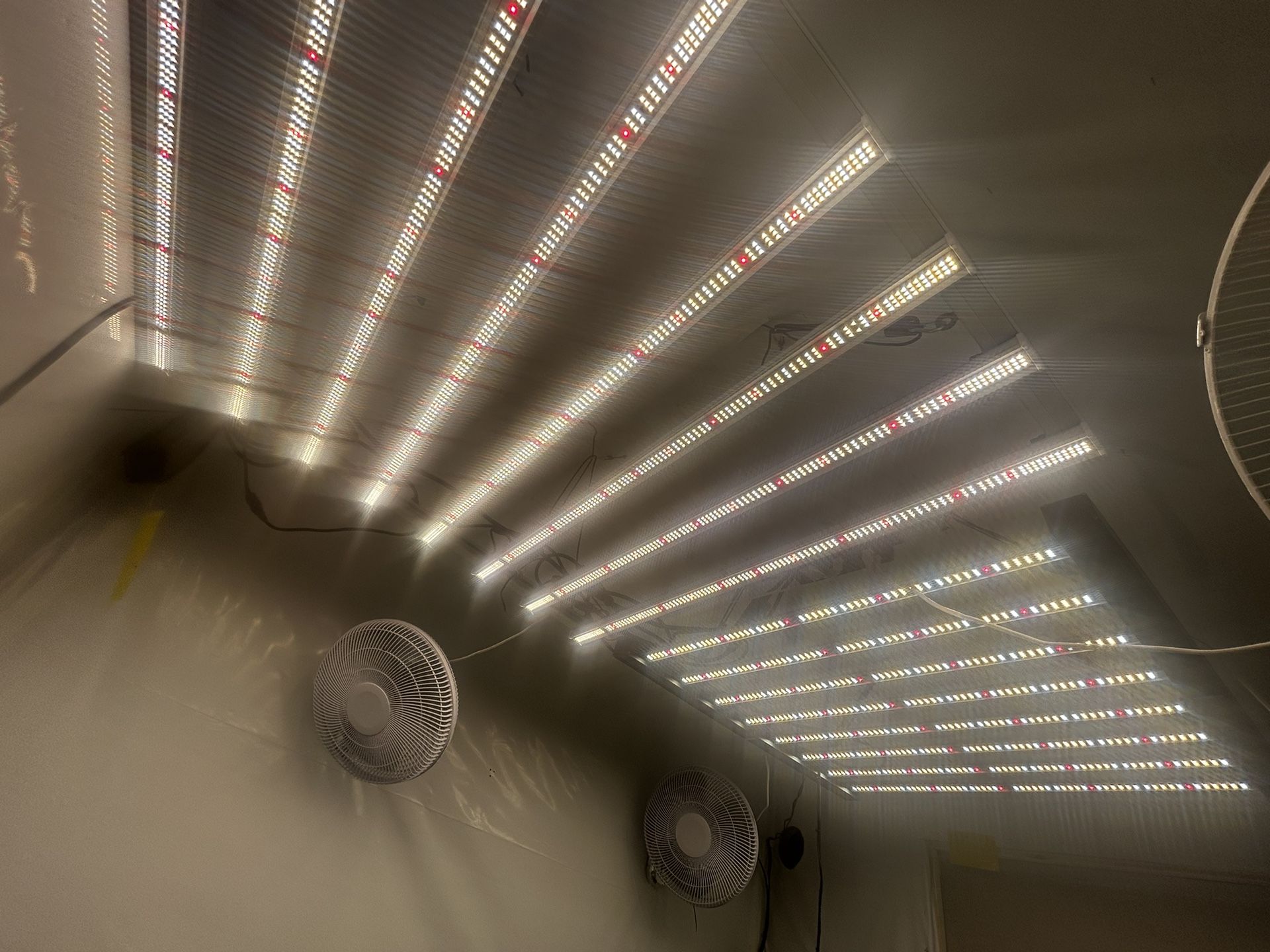 🍃Grow Set Up/equipment 🍃