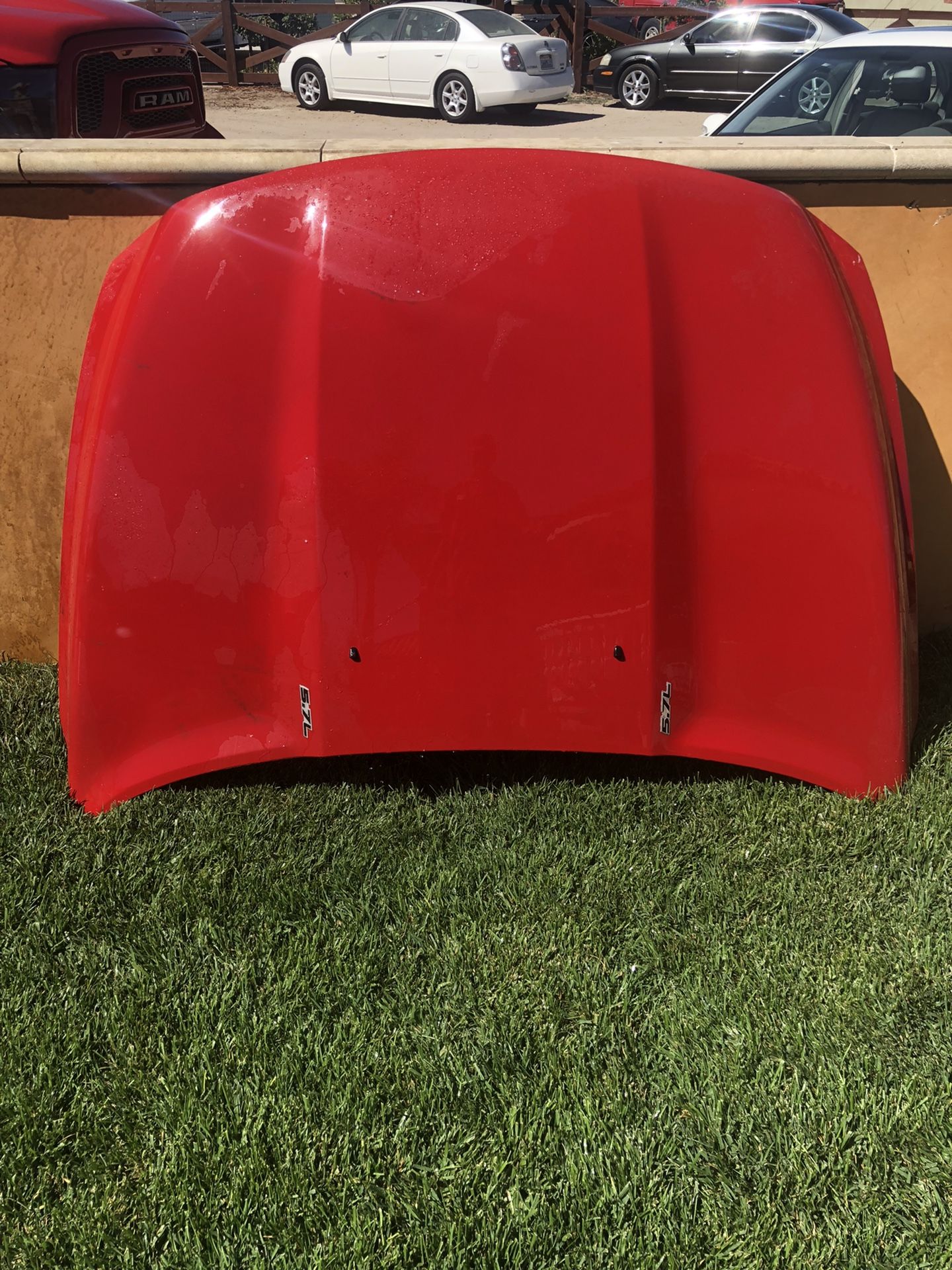2013 Ram Hood