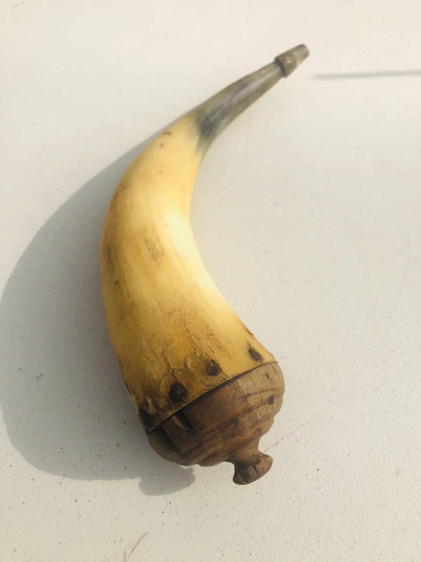 Antique Civil War Powder Horn 11 inches Original