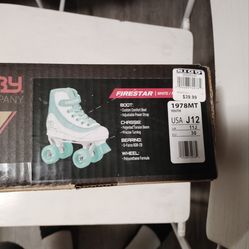 Roller derby skates