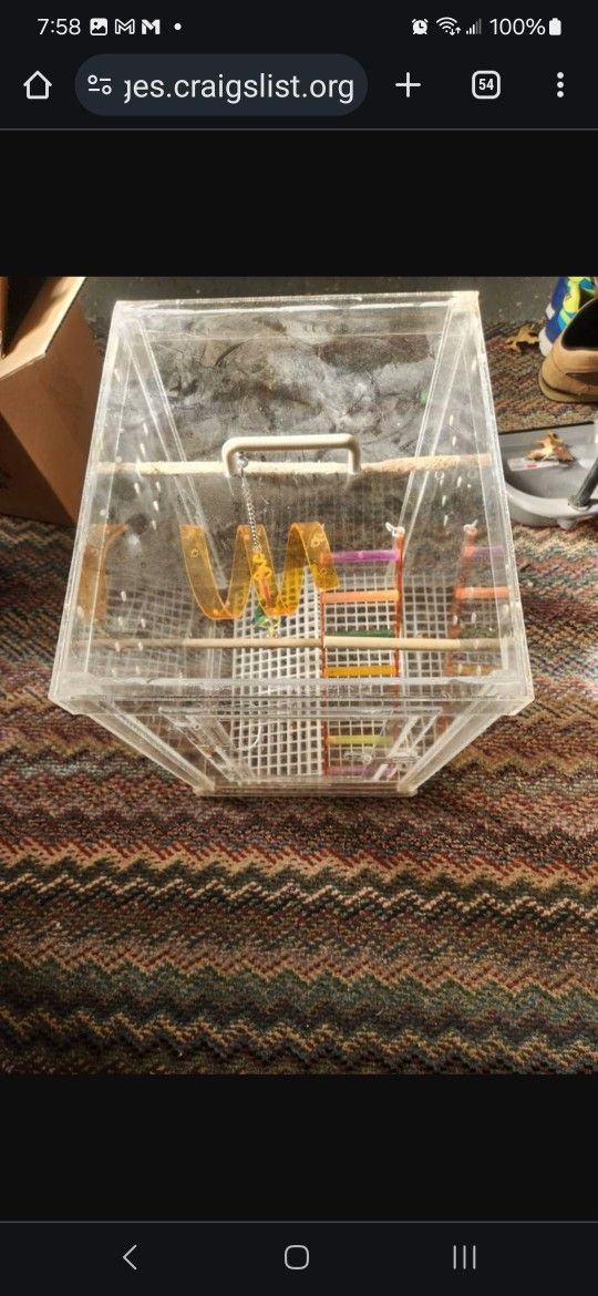 Bird Cage