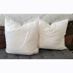 Square Pillow Form 20in. Filler for Decorative Shams - 2pc Set