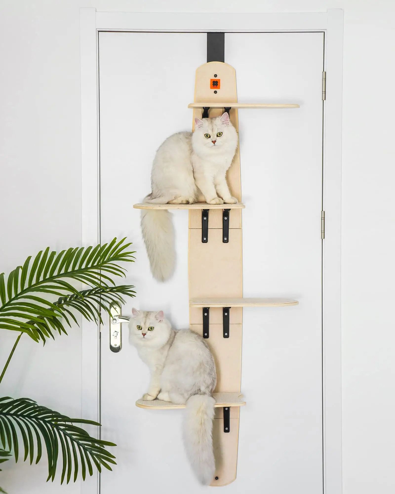 Meewoofun Wooden Cat Tree Hanging Door