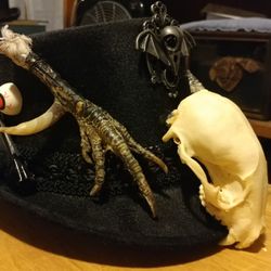 One Of A Kind- Halloween Voodoo Top Hat- Skull, Rooster Feet, Feathers...
