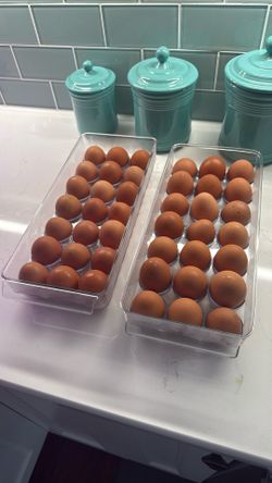 Organic Fresh Eggs! No Antibiotics, No Hormones, Happy Chickens