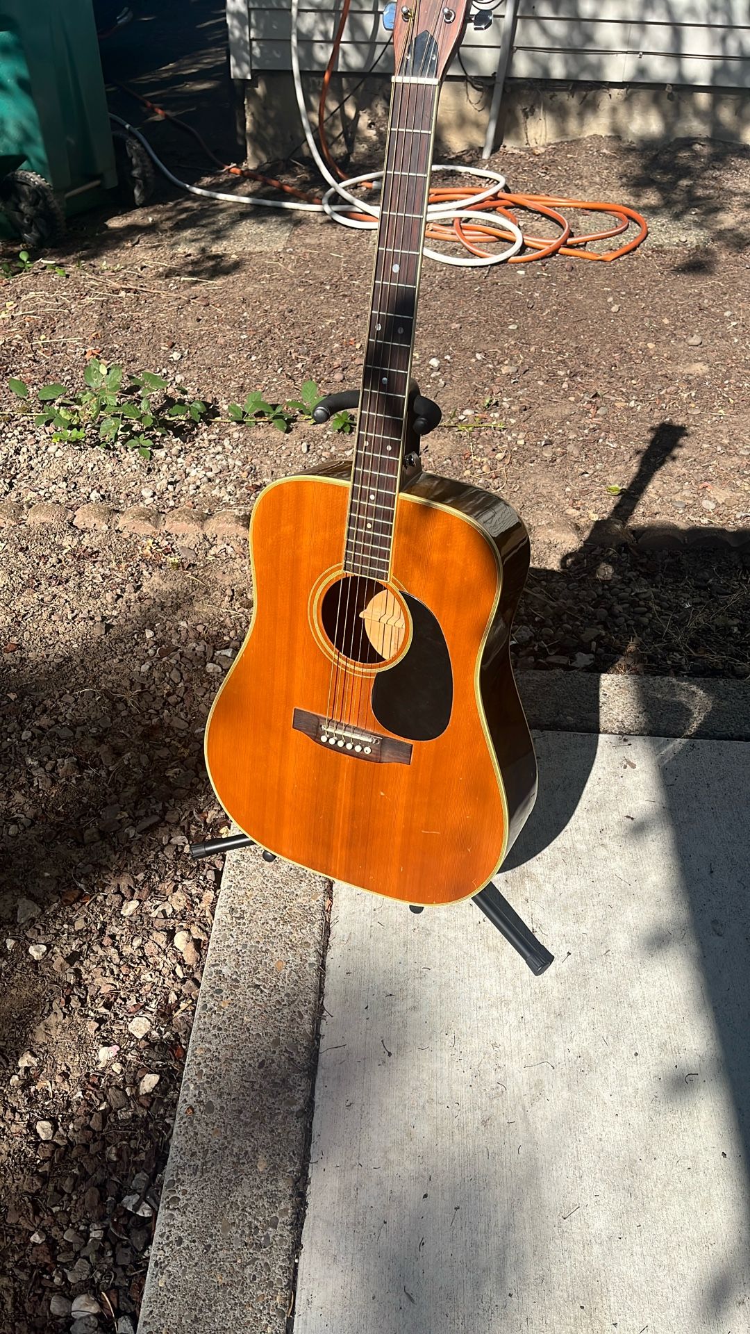 Rare Japanese Acoustic Guitar