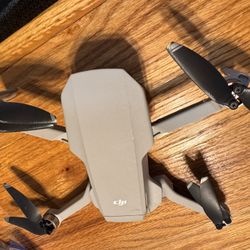 Mavic Mini With Fly More Combo