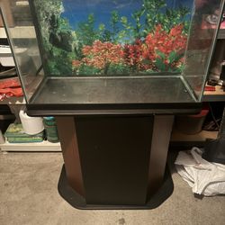 30 Gallon Fish Tank