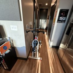 Exercise Bike (Sunny Health SFB1509C)