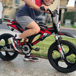 Bicycle-  motorcycle style