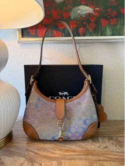 The Coach Hamptons Hobo Bag in Rainbow Crystal Signature Jacquard