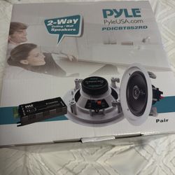 2 Way Wall Ceiling Speaker 