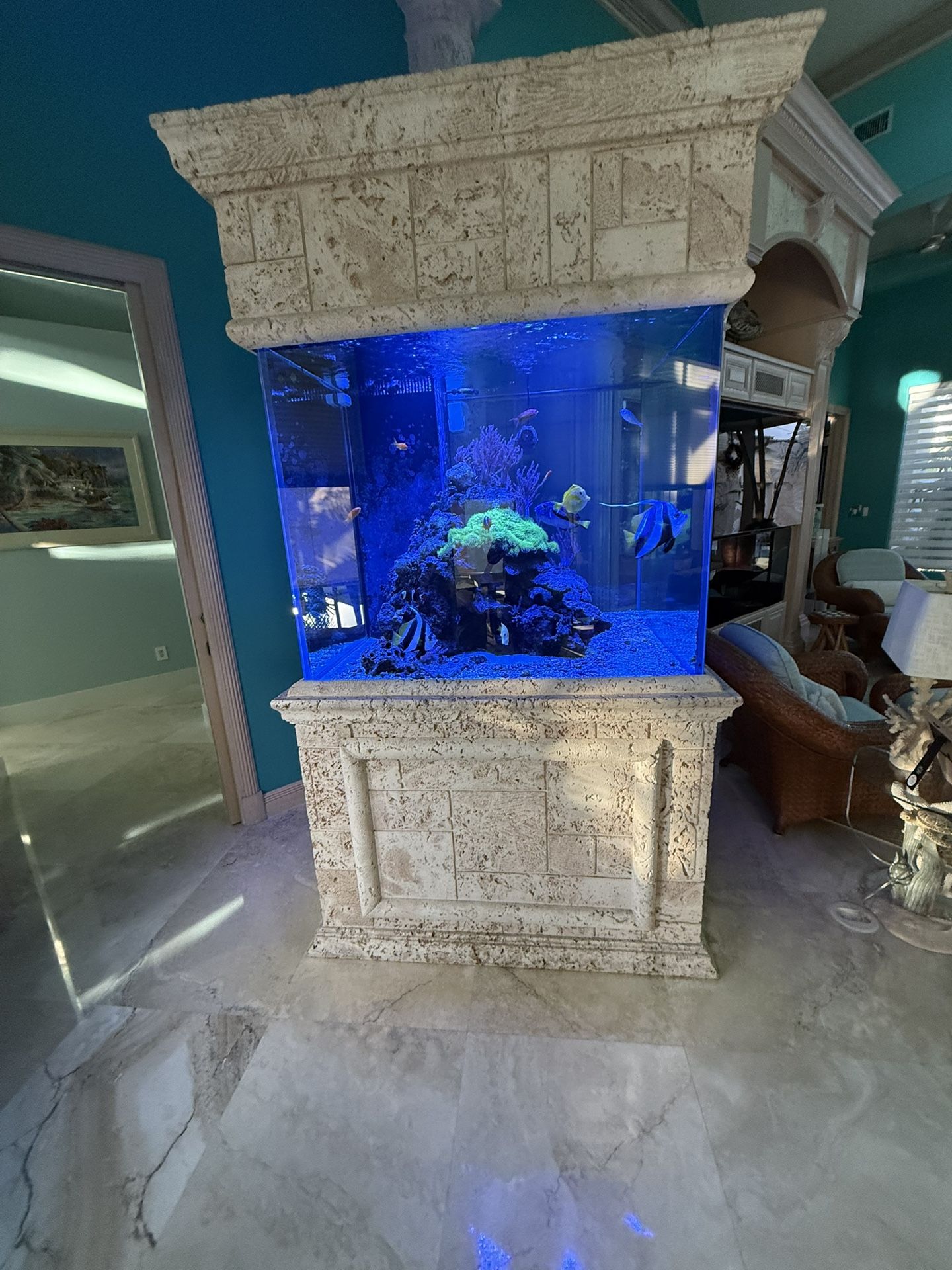 400g Saltwater Reef Tank