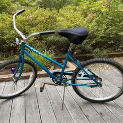 Used ladies bicycle for sale hotsell near me