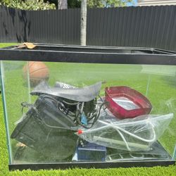 Aquarium