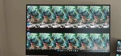 Desktop Monitors