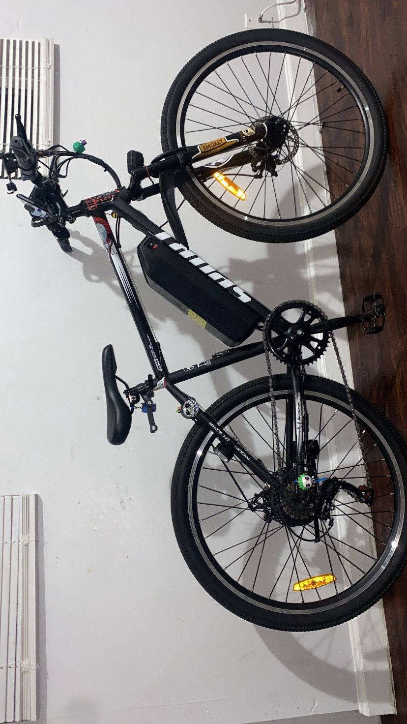 Electric Bike 